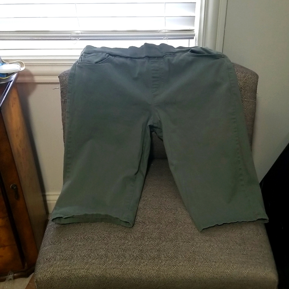 Sage Gloria Vanderbilt Capris